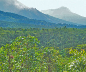 Mountains