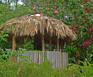 Ranchito